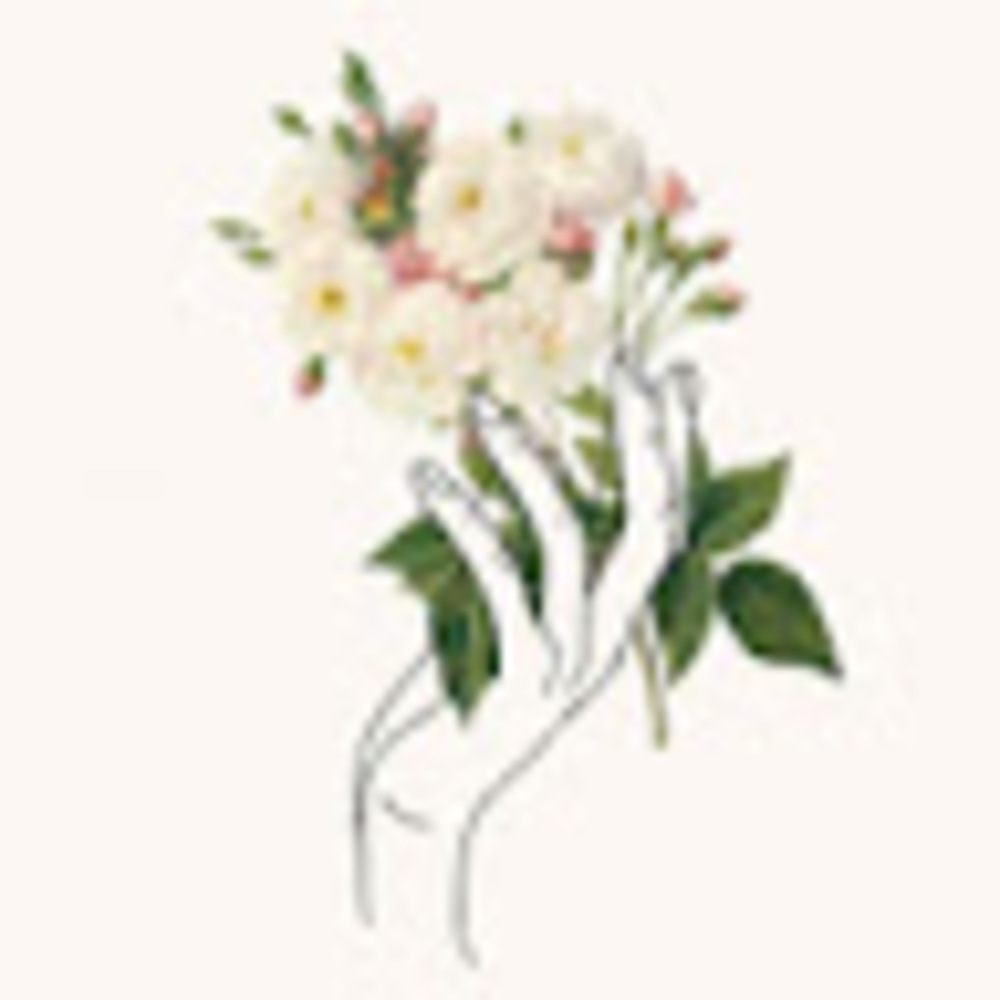 Meet your Posher, Kathleen